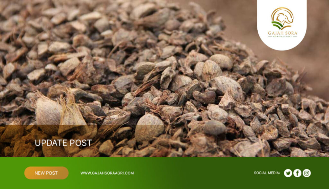 Agricultural-Commodity-Supplier-Indonesia