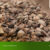 Agricultural-Commodity-Supplier-Indonesia