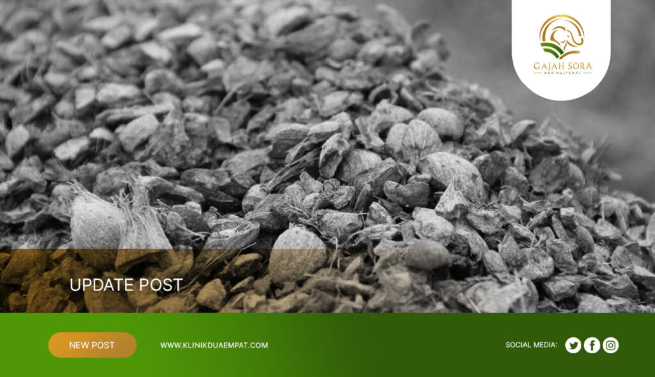 Agricultural-Commodity-Supplier-Indonesia