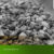 Agricultural-Commodity-Supplier-Indonesia