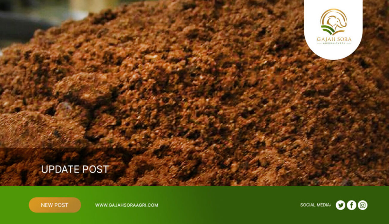 Indonesian-Palm-Kernel-Expeller-Export