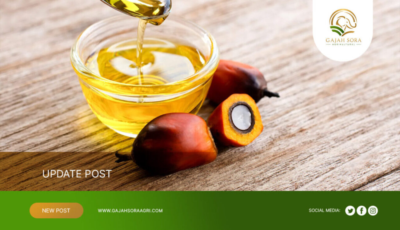 Palm-Oil-Processing-Byproducts-Supplier