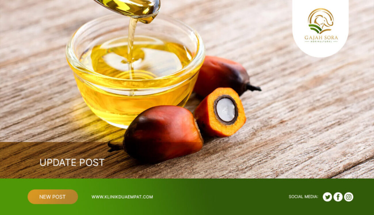 Palm-Oil-Processing-Byproducts-Supplier